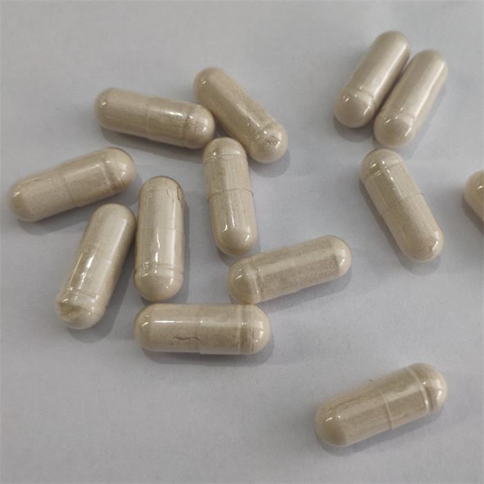 Lion’s Mane Mushroom Extract Powder Capsules