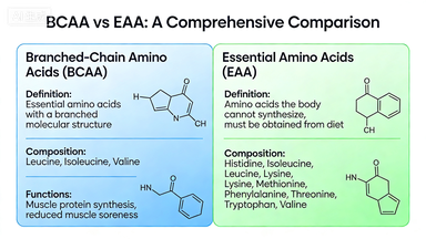Sports and Fitness Supplements: BCAA VS EAA—Which Should You Choose? —An In-Depth Guide Based on Muscle Metabolism Mechanisms