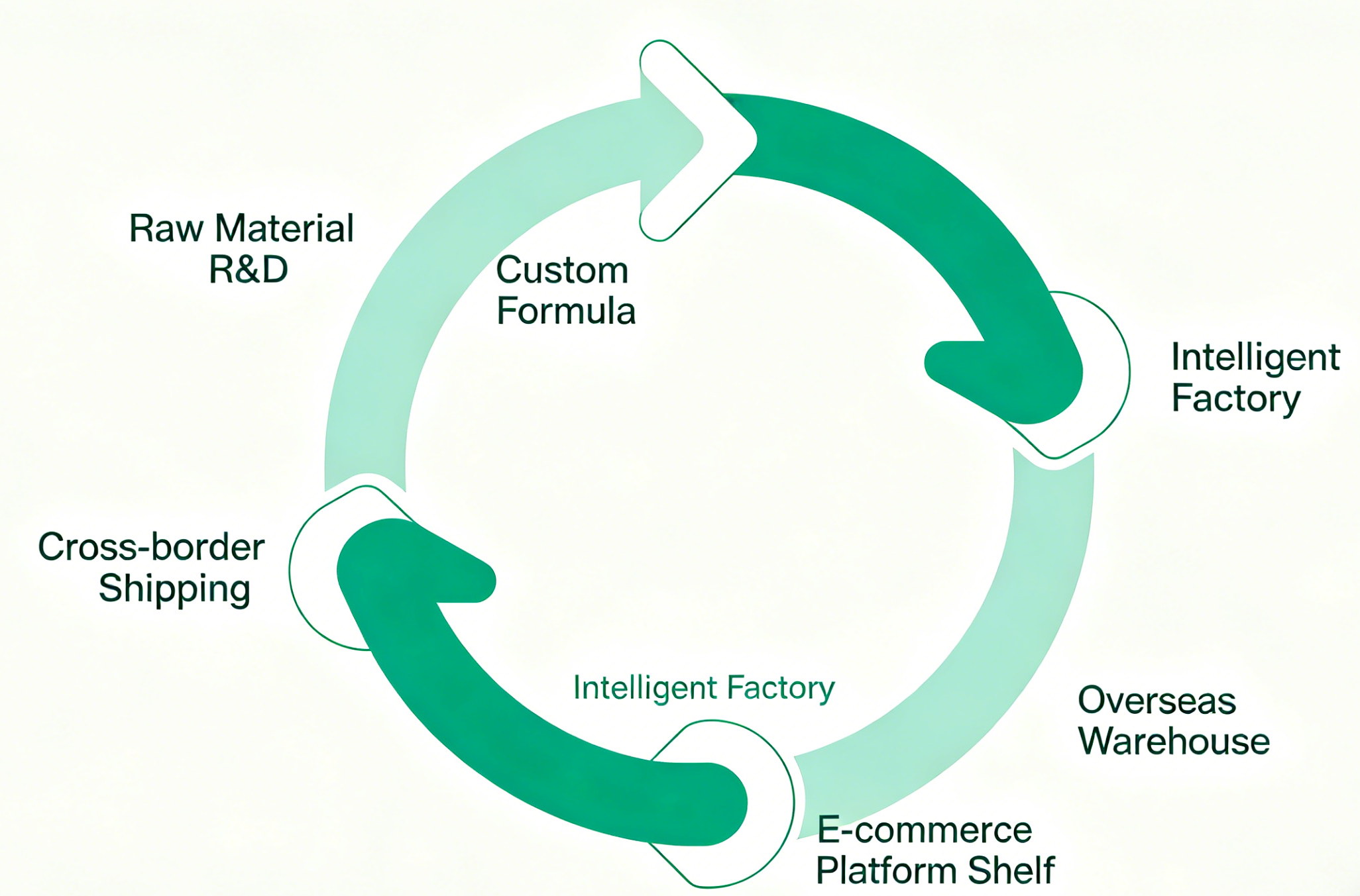 30-Day OEM Cycle for Cross-Border Best Sellers: From Formulation to Launch–How Is It Achieved?