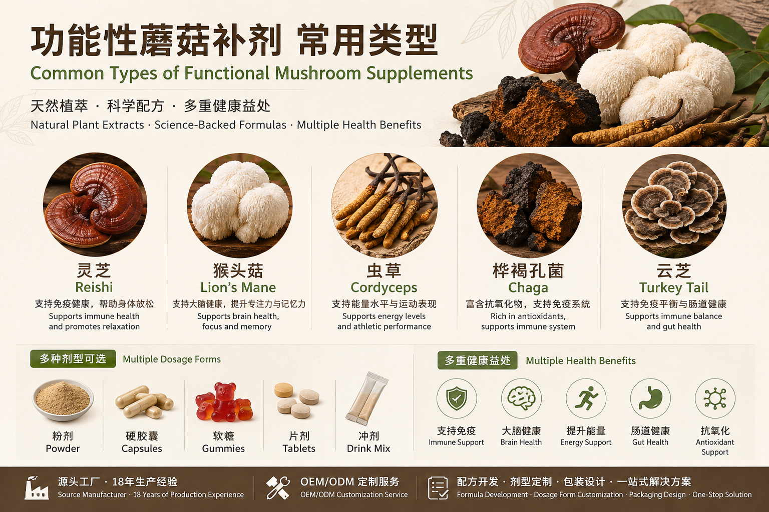 功能性蘑菇为何持续火爆全球？